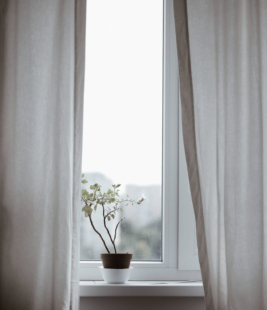 창가의 꽃과 커튼사이로 풍경